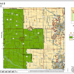 Rock County District 8